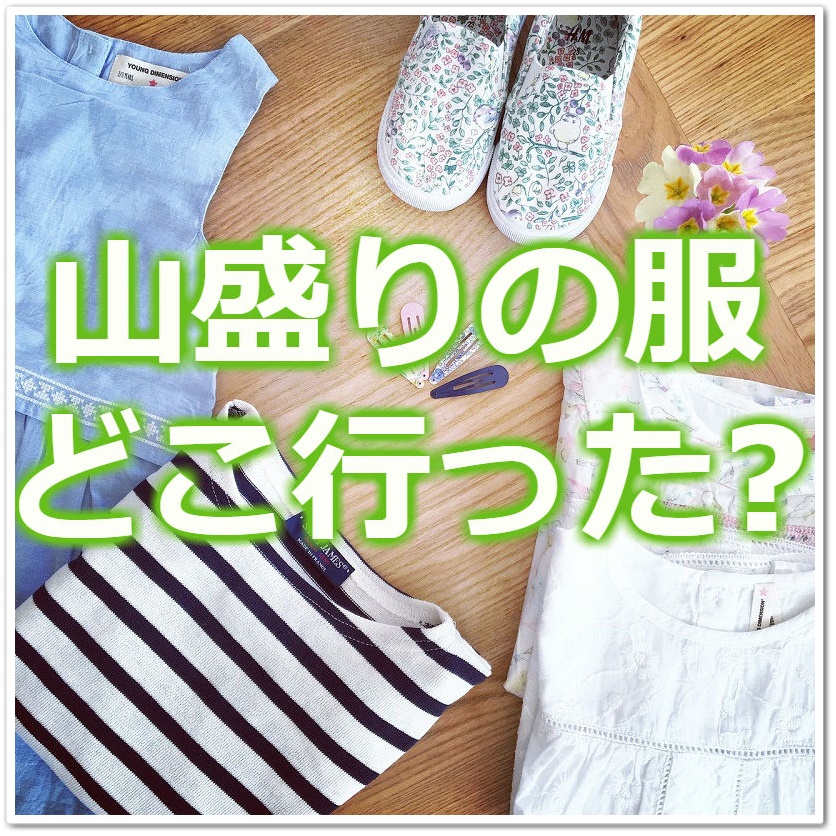 服を捨てるのもったいない 山盛りの服を処分する基準と頻度は クセになる お片付けのコツ